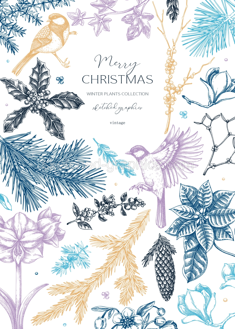 Christmas card design. Winter nature frame. Conifer trees, winter flowers, birds sketches. Hand drawn vector illustration. NOT AI generated Illustration